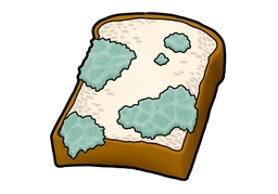 not anymoreのイラスト